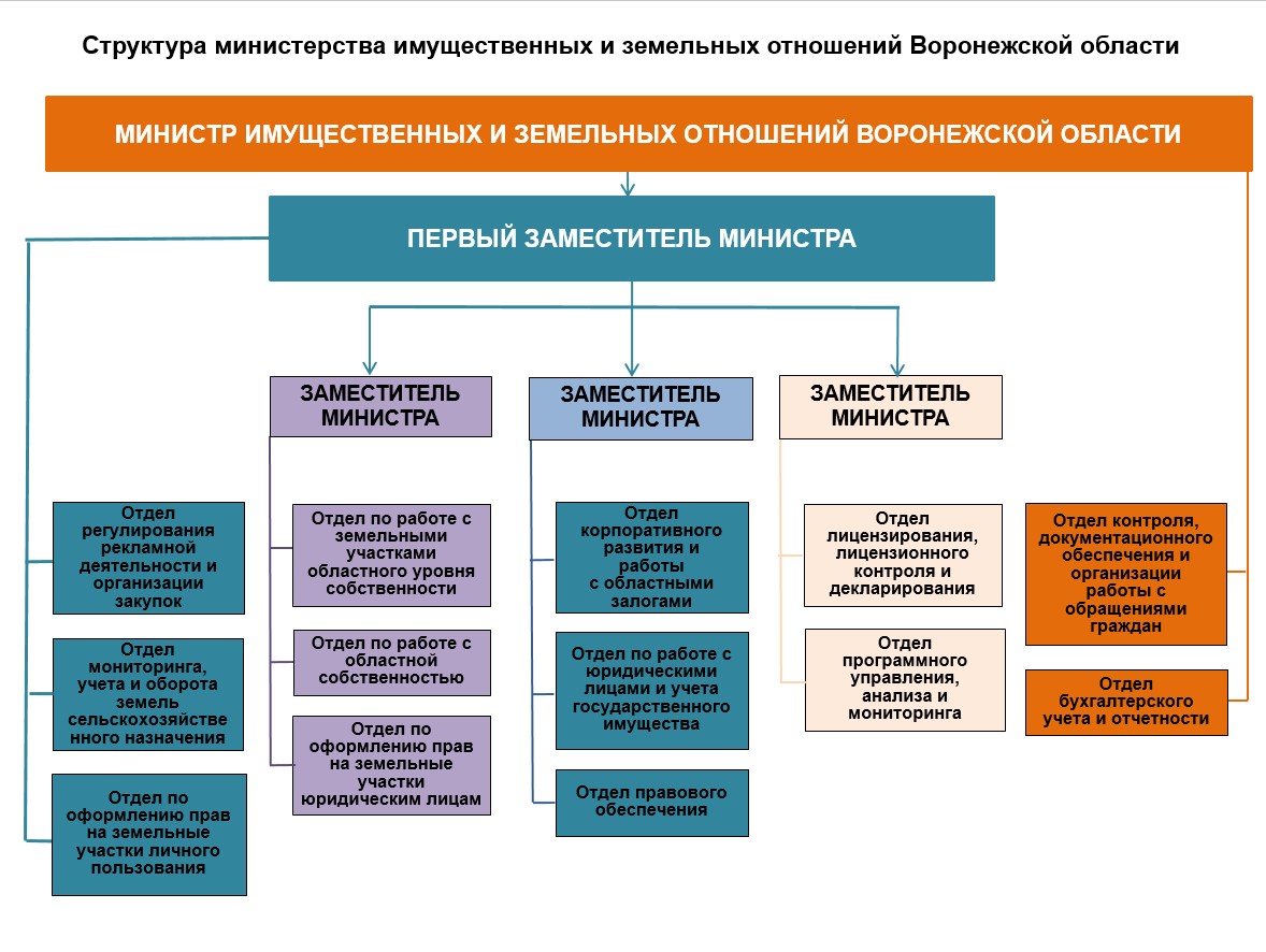 Структура министерства имущественных и земельных отношений Воронежской  области – Министерство имущественных отношений