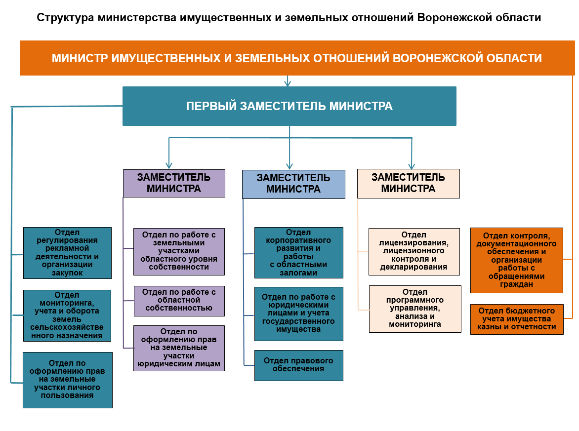 Структура министерства имущественных и земельных отношений Воронежской  области – Министерство имущественных отношений